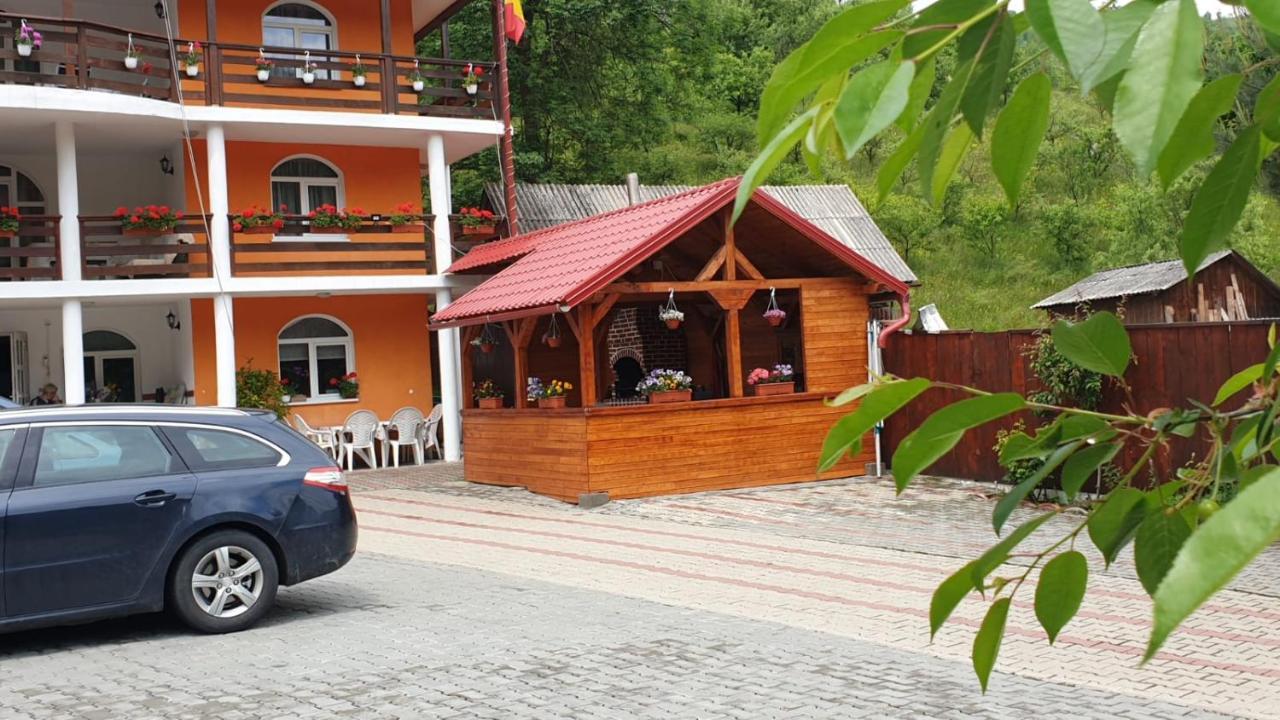 Casa Cristalina&Dumi Casa de hóspedes Albac Exterior foto