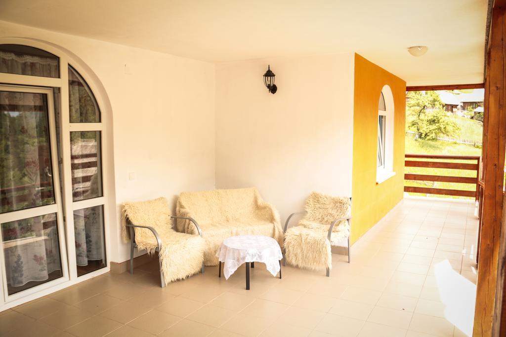 Casa Cristalina&Dumi Casa de hóspedes Albac Exterior foto